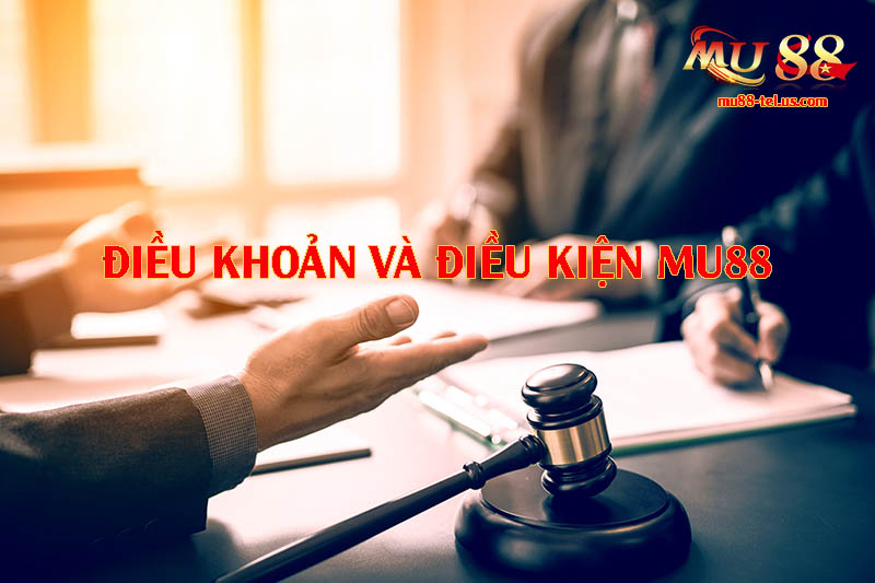 Bạn biết gì về điều khoản điều kiện tại nhà cái này?