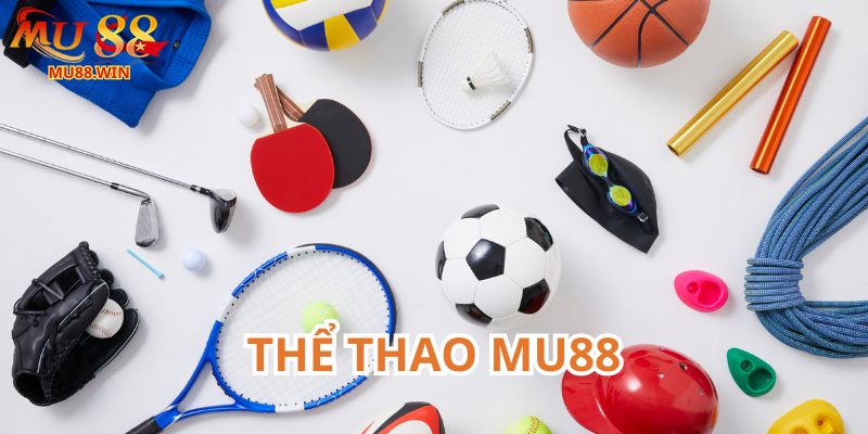 Khám phá sảnh thể thao Mu88